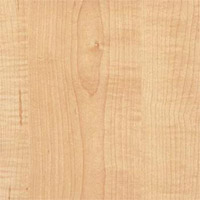Robbins East Winds Collection Character Maple (2 strip)
