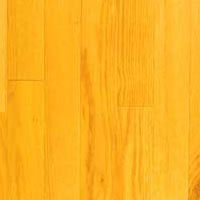 Pure Rendition Yellow Birch 2.25in Natural Tradition